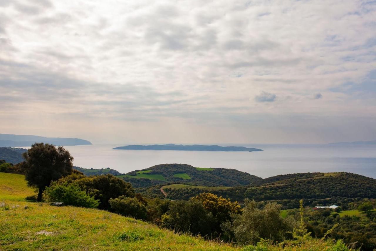 Ayia Marina Suites Ouranoupoli Dış mekan fotoğraf